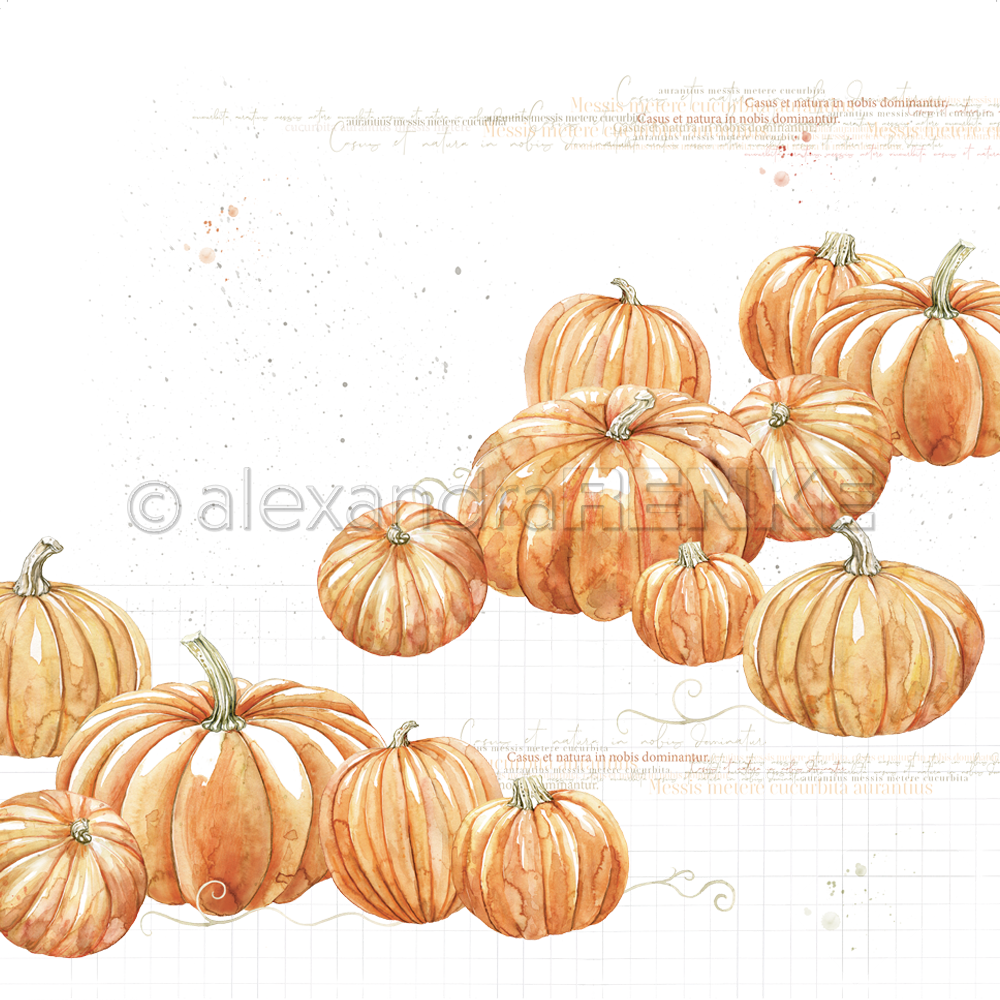 Design paper 'Pumpkins' - P AR 10.1026 - A.RENKE