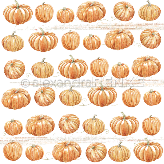 Design paper 'Pumpkins Raport - P AR 10.1027 - A.RENKE