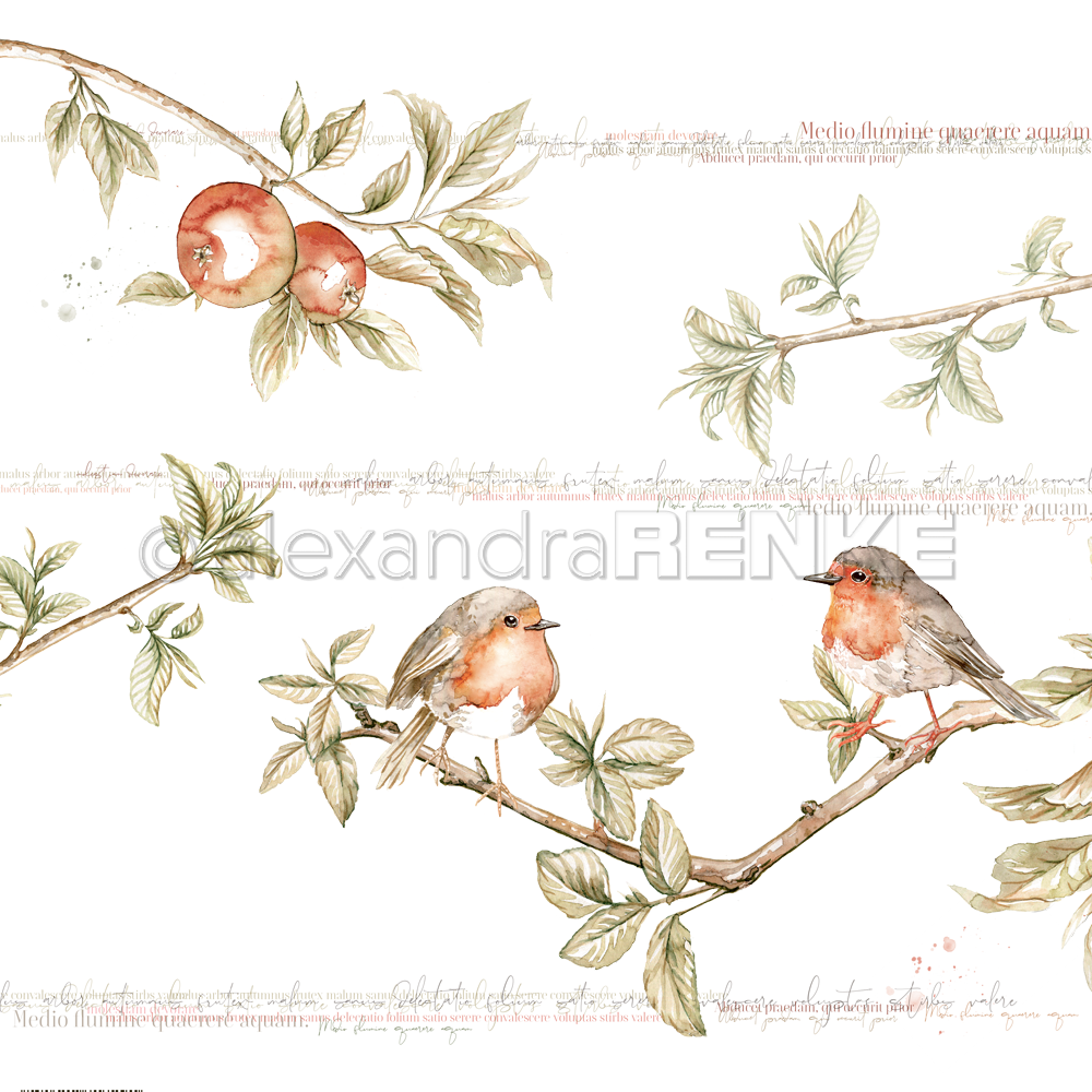 Design paper 'Big robin pair - P AR 10.1028 - A.RENKE