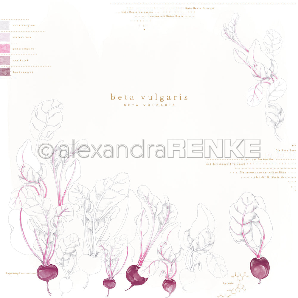 Design paper ' Beta vulgaris' - P AR 10.3142 - A.RENKE