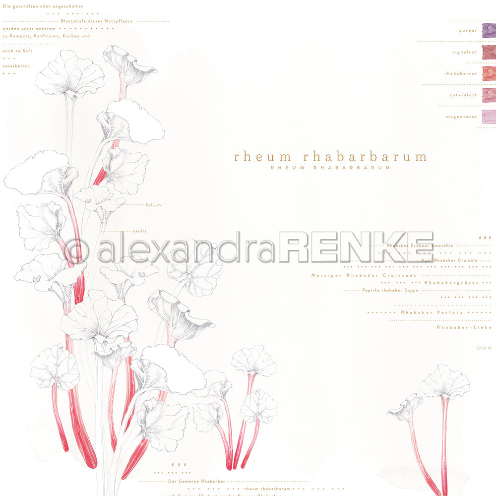 Design paper ' Rheum Rhabarbarum' - P AR 10.3147 - A.RENKE