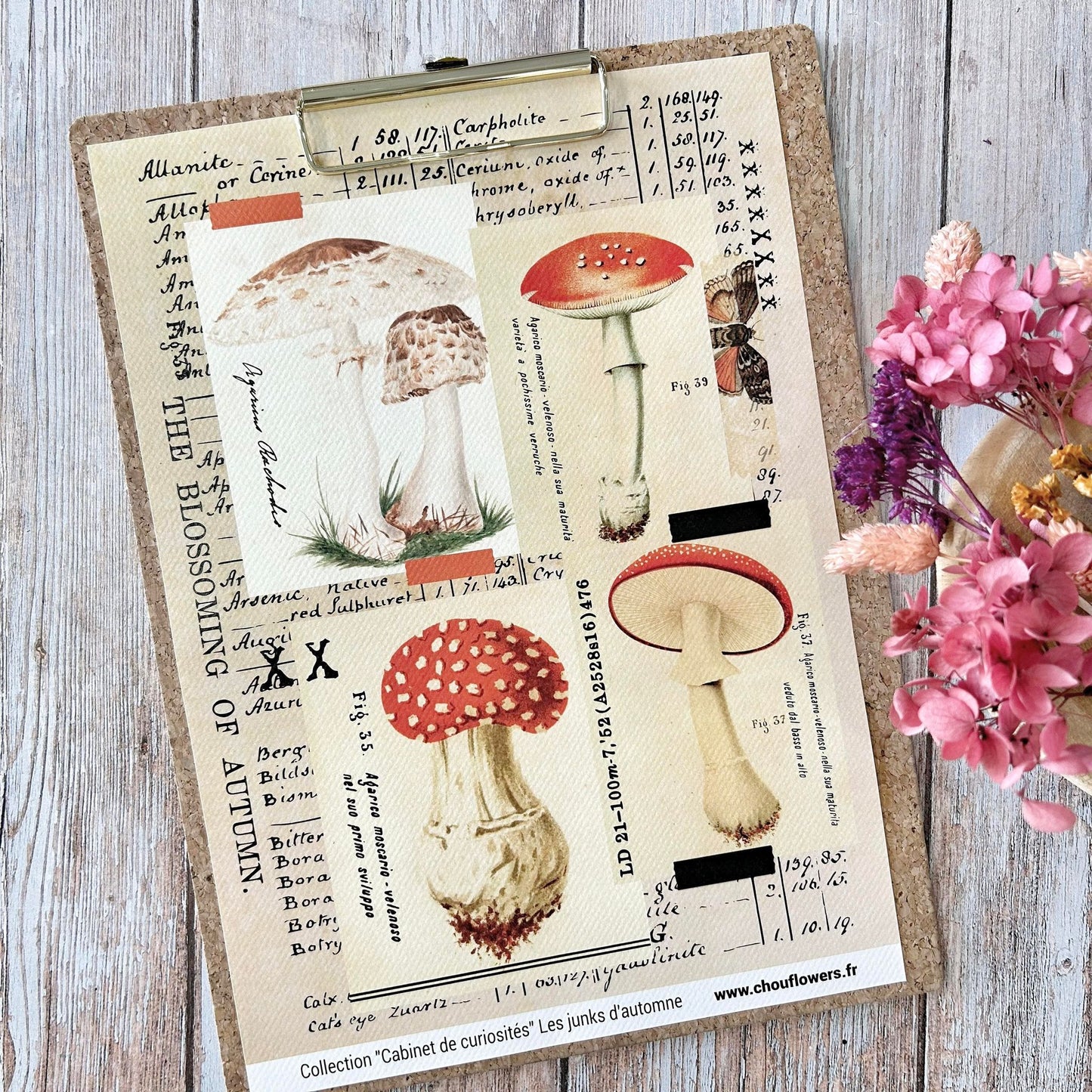 SET CARTE-LES JUNKS D'AUTOMNE CABINET DE CURIOSITES - CAB134 - CHOU & FLOWERS