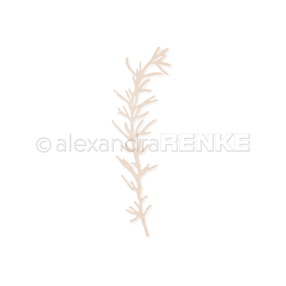 Fustella  'Rosemary' -D-AR-C0073 - A.RENKE