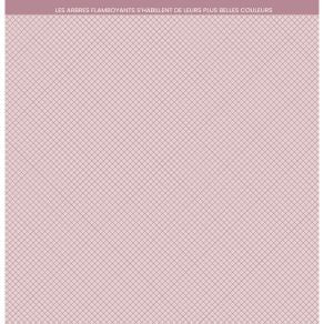 Set Carte "CARNET NATURE "  FDPI224011 - FLORILEGES DESIGN